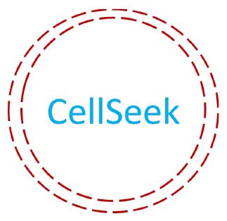 CellSeek