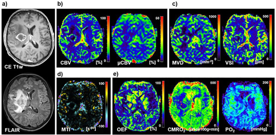 Journal: Molecular Imaging and Biology | World Molecular Imaging Society